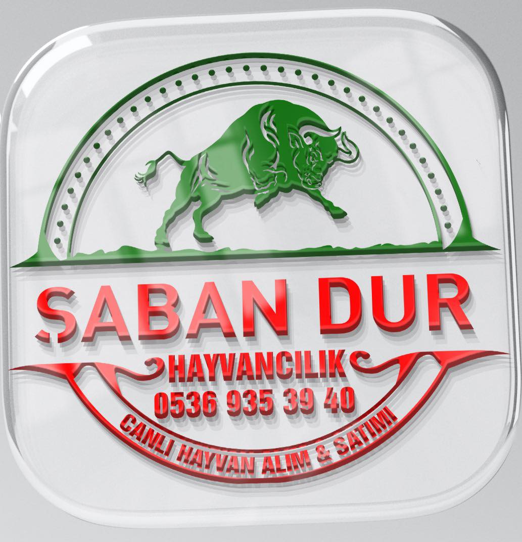 Çumra kurbanlık