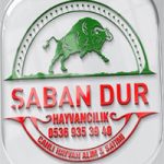 Çumra Kurbanlık Alım, Satım ve Kesim Yeri Şaban Dur hayvancılık
