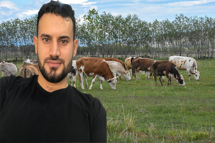 Şaban Dur