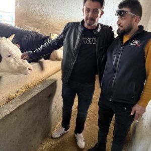 Veli Demir, Şenol Almalı Elmalı