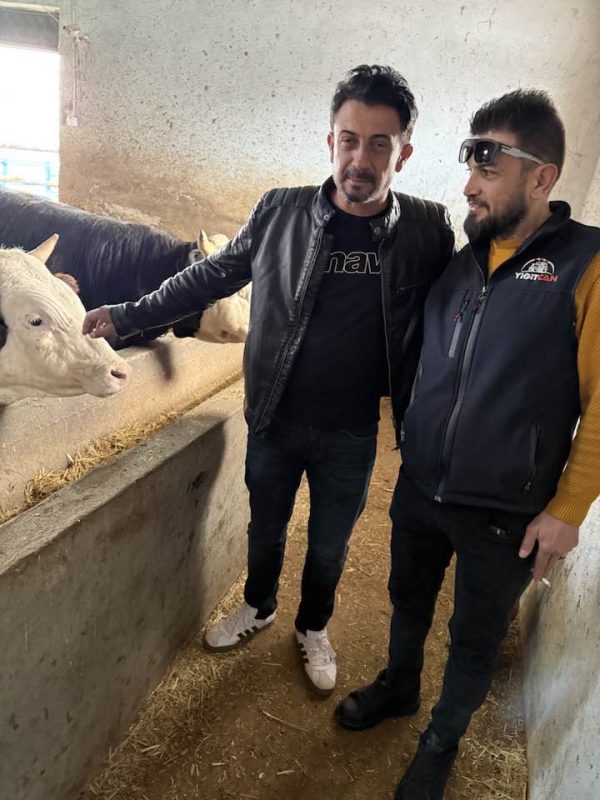 Veli Demir, Şenol Almalı Elmalı